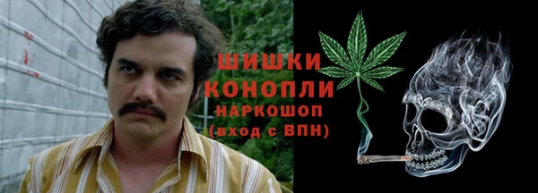 эйфоретик Михайловск