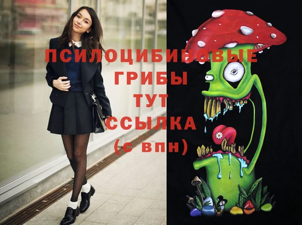 эйфоретик Медвежьегорск