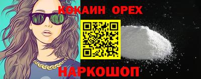 ECSTASY Гай