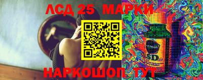 ECSTASY Гай