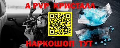 ECSTASY Гай