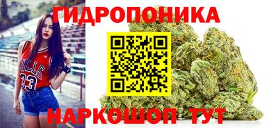 наркотики Гатчина