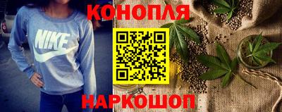 ECSTASY Гай