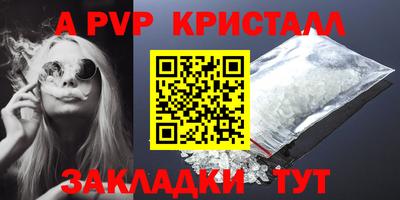 ECSTASY Гай