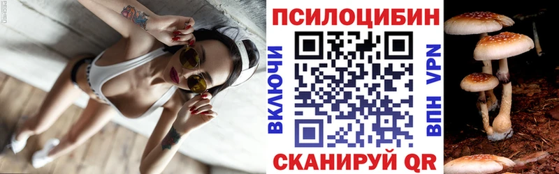 Псилоцибиновые грибы мицелий  дарнет шоп  Магнитогорск 