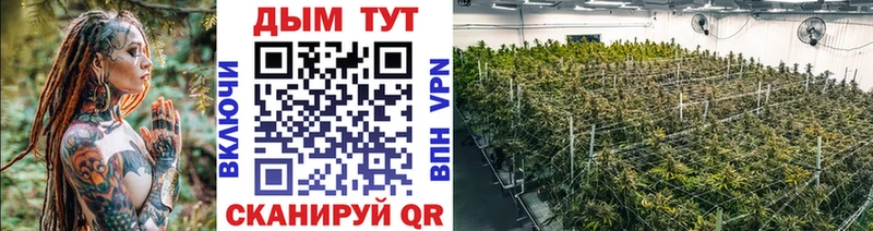 МАРИХУАНА SATIVA & INDICA  продажа наркотиков  Магнитогорск 